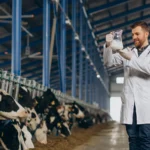 Besi ve Süt Üretim Tesisleri