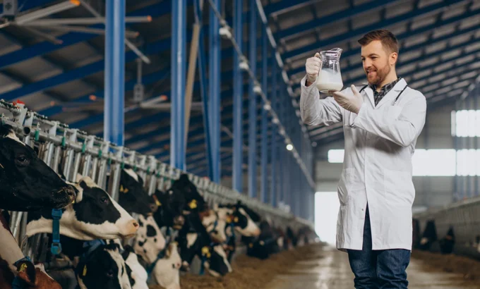 besi-ve-sut-tesisleri besi-ve-sut-tesisleri